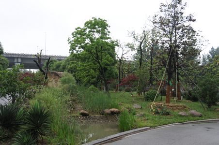 ������k8����Ӯ�ҡ�һ������