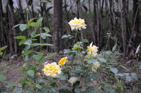 ������k8����Ӯ�ҡ�һ������