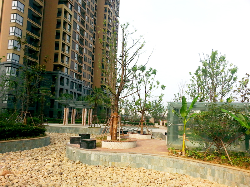 ������k8����Ӯ�ҡ�һ������