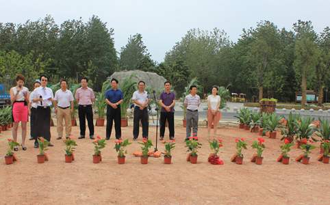 ������k8����Ӯ�ҡ�һ������