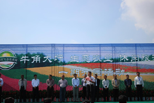 ������k8����Ӯ�ҡ�һ������