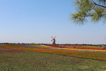 ������k8����Ӯ�ҡ�һ������