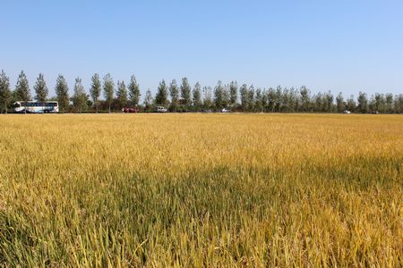 ������k8����Ӯ�ҡ�һ������