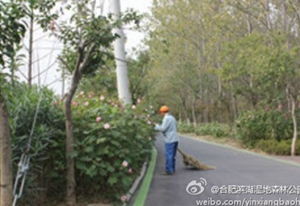 ������k8����Ӯ�ҡ�һ������