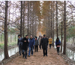 ������k8����Ӯ�ҡ�һ������