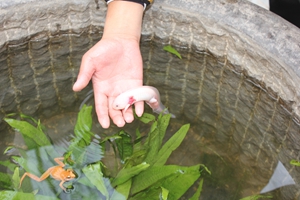 ������k8����Ӯ�ҡ�һ������