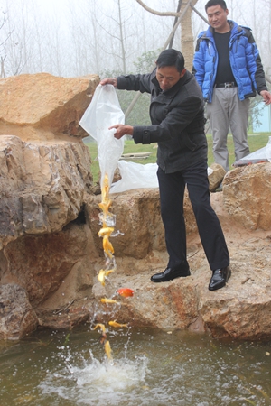 ������k8����Ӯ�ҡ�һ������