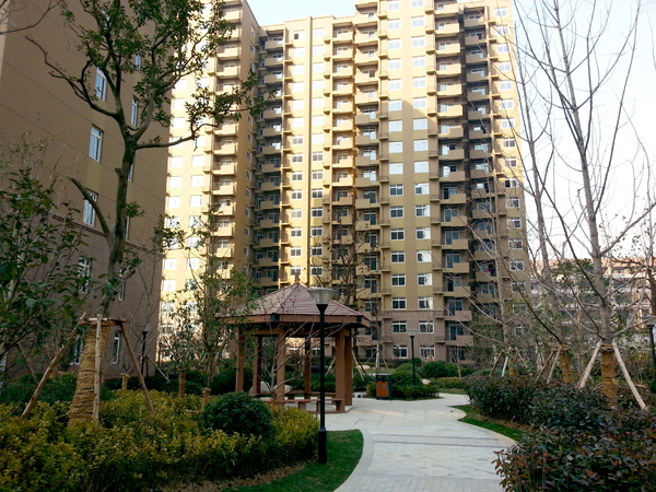 ������k8����Ӯ�ҡ�һ������