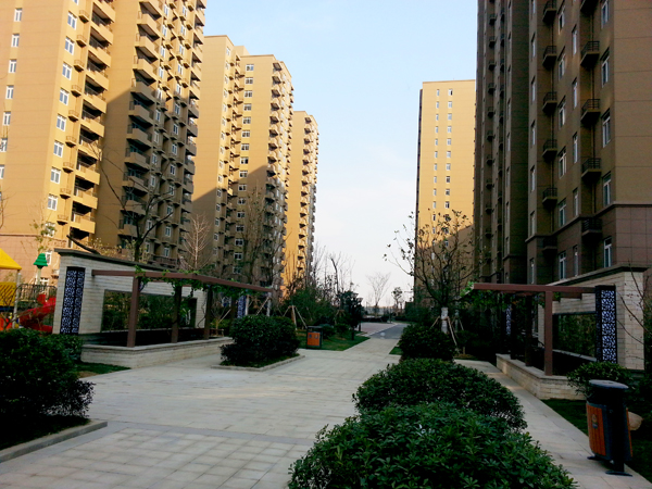 ������k8����Ӯ�ҡ�һ������