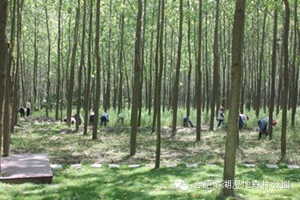 ������k8����Ӯ�ҡ�һ������