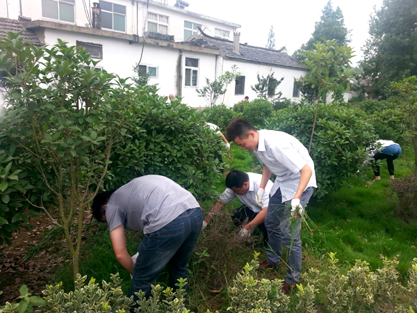 ������k8����Ӯ�ҡ�һ������