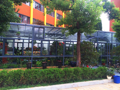 ������k8����Ӯ�ҡ�һ������