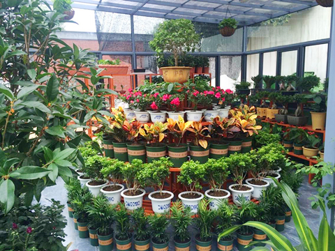 ������k8����Ӯ�ҡ�һ������