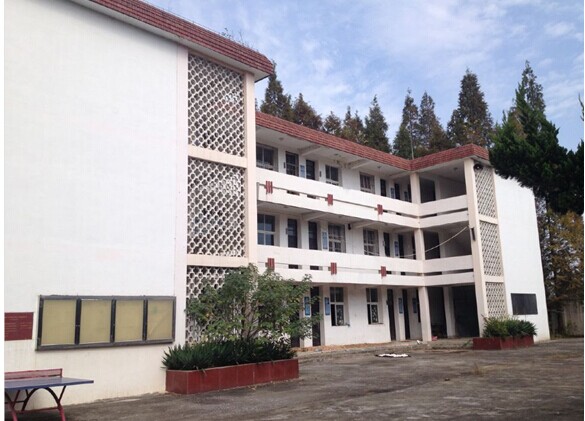 ������k8����Ӯ�ҡ�һ������