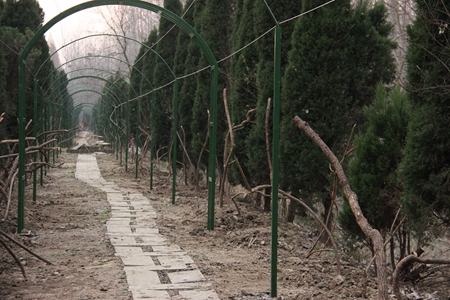 ������k8����Ӯ�ҡ�һ������