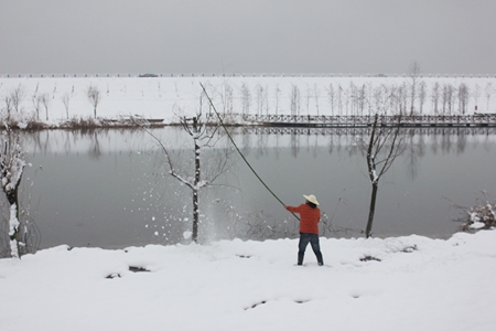 ������k8����Ӯ�ҡ�һ������