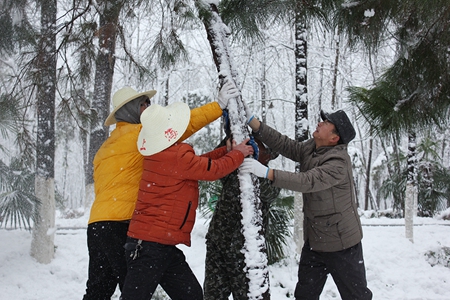 ������k8����Ӯ�ҡ�һ������