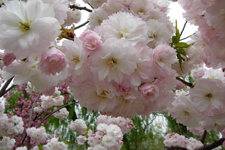 ������k8����Ӯ�ҡ�һ������