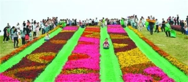 ������k8����Ӯ�ҡ�һ������