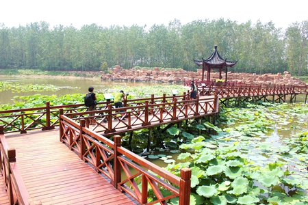 ������k8����Ӯ�ҡ�һ������