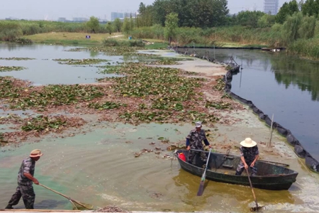 ������k8����Ӯ�ҡ�һ������