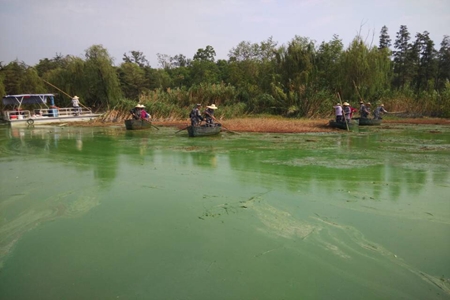 ������k8����Ӯ�ҡ�һ������