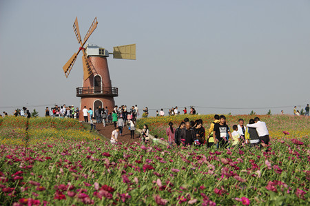 ������k8����Ӯ�ҡ�һ������