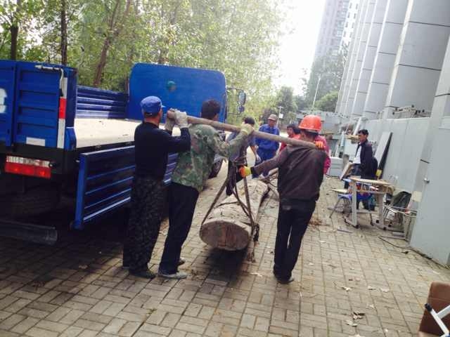 ������k8����Ӯ�ҡ�һ������