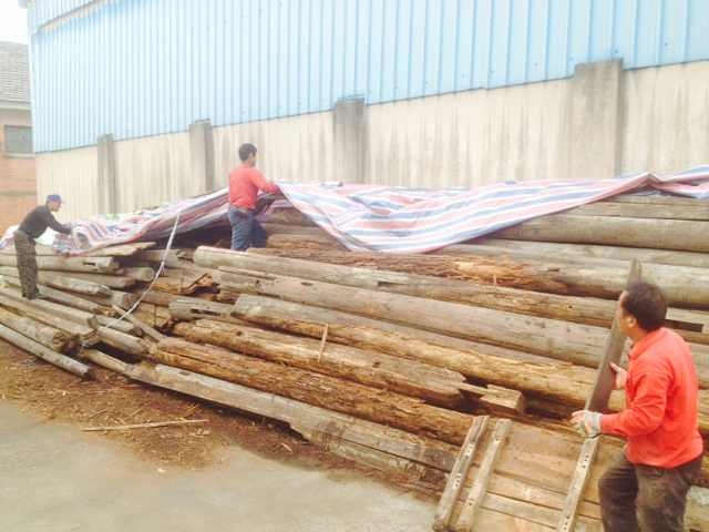 ������k8����Ӯ�ҡ�һ������