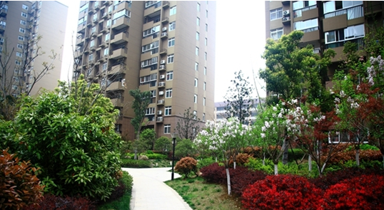 ������k8����Ӯ�ҡ�һ������