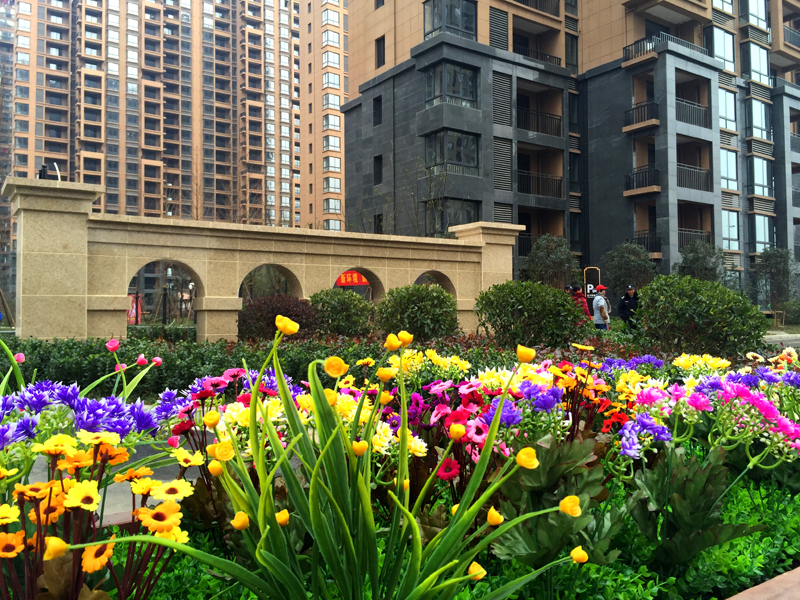 ������k8����Ӯ�ҡ�һ������