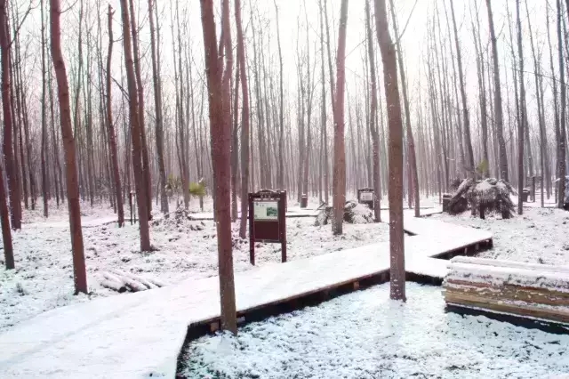 ������k8����Ӯ�ҡ�һ������