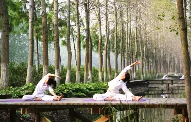 ������k8����Ӯ�ҡ�һ������