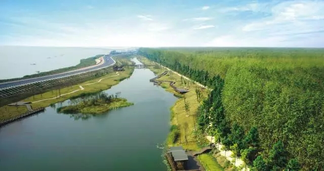 ������k8����Ӯ�ҡ�һ������