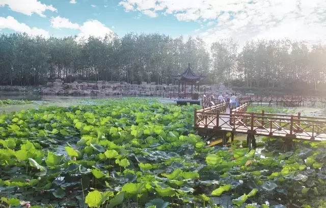 ������k8����Ӯ�ҡ�һ������