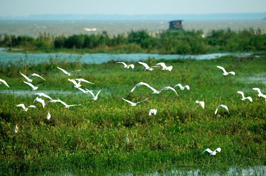 ������k8����Ӯ�ҡ�һ������