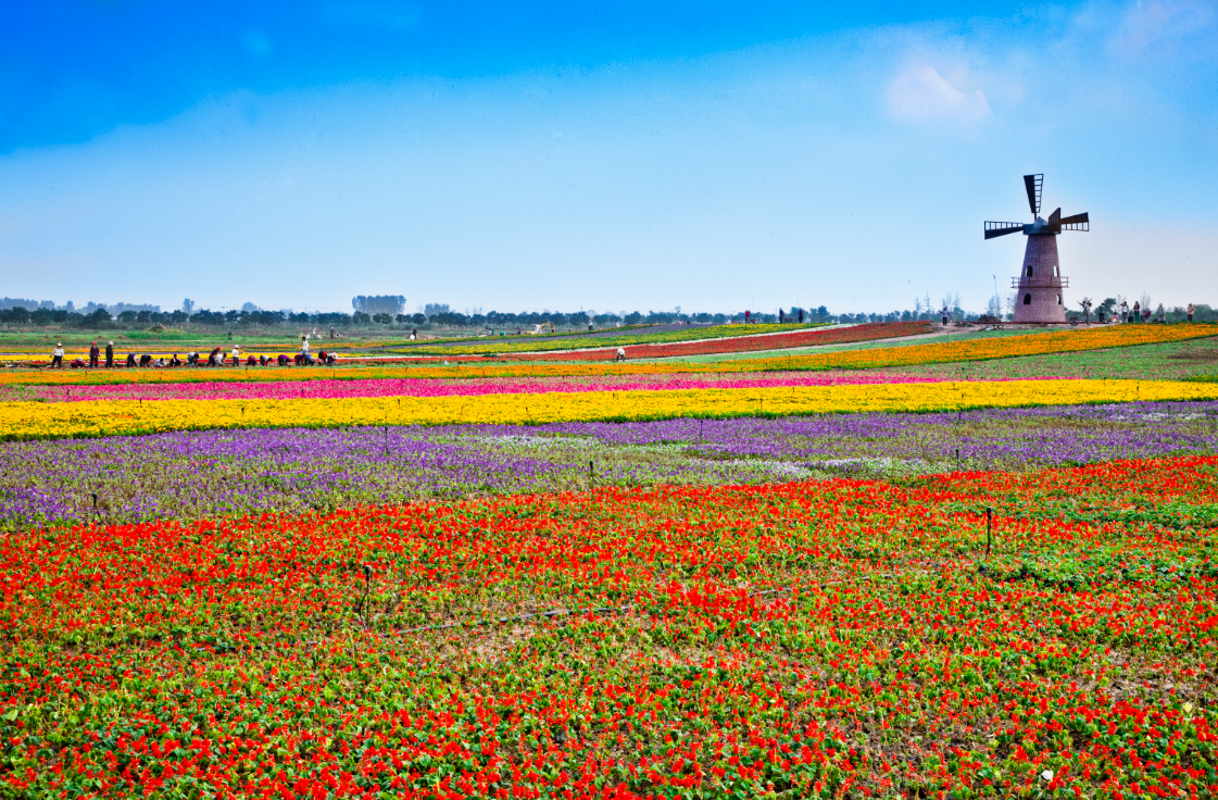 ������k8����Ӯ�ҡ�һ������