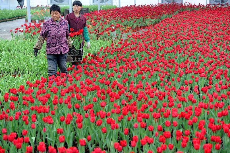 ������k8����Ӯ�ҡ�һ������