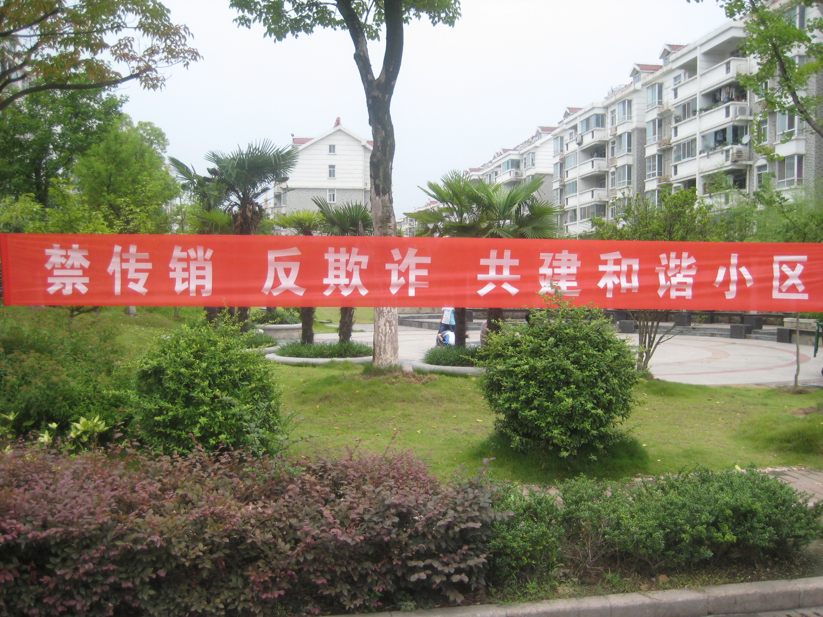 ������k8����Ӯ�ҡ�һ������