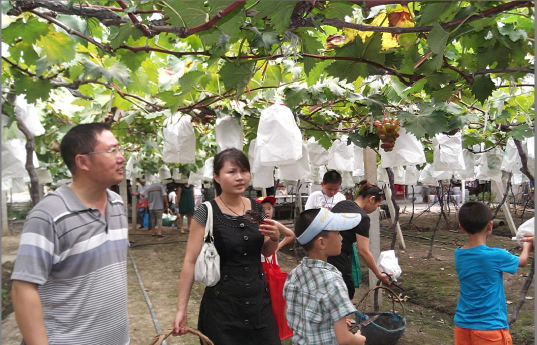 ������k8����Ӯ�ҡ�һ������