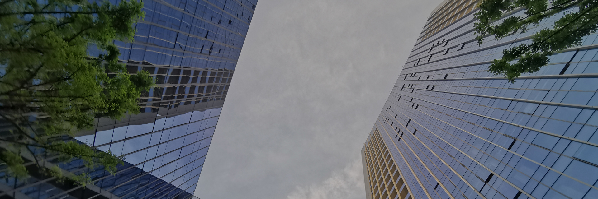 ��ǿ·��������