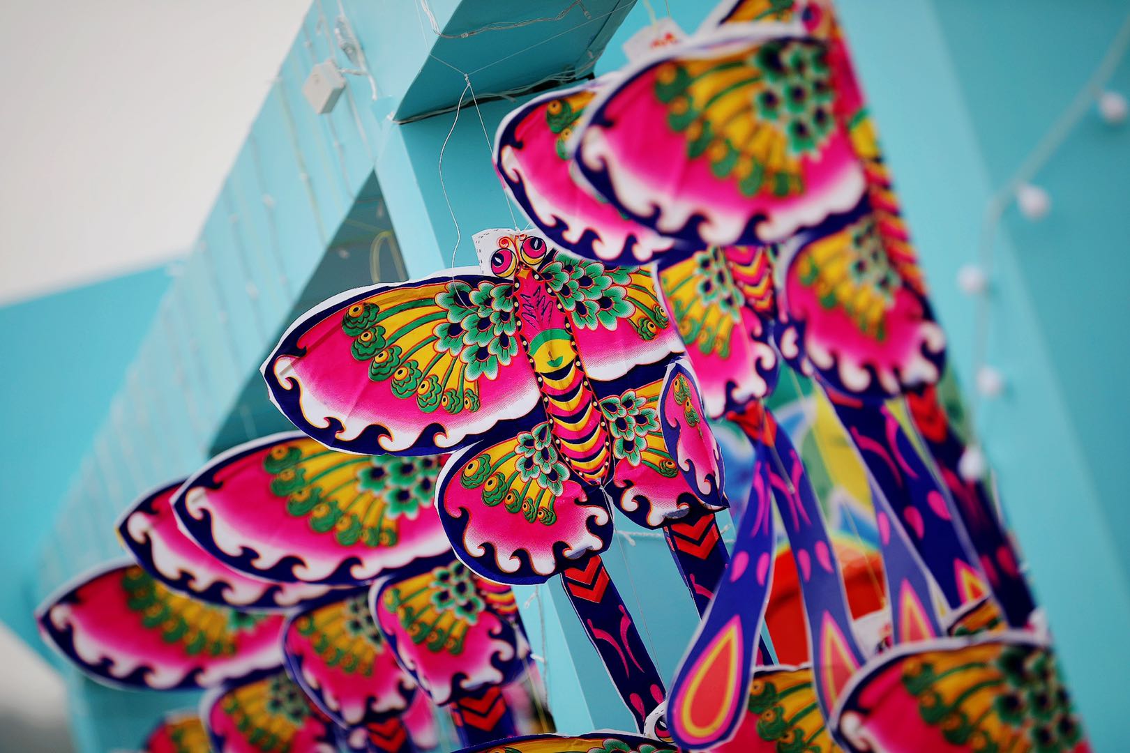 ������k8����Ӯ�ҡ�һ������