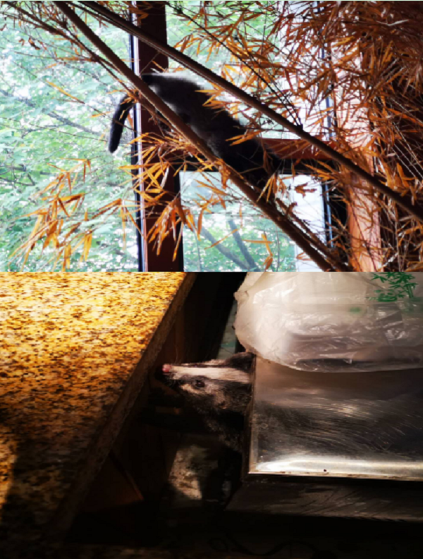 ������k8����Ӯ�ҡ�һ������