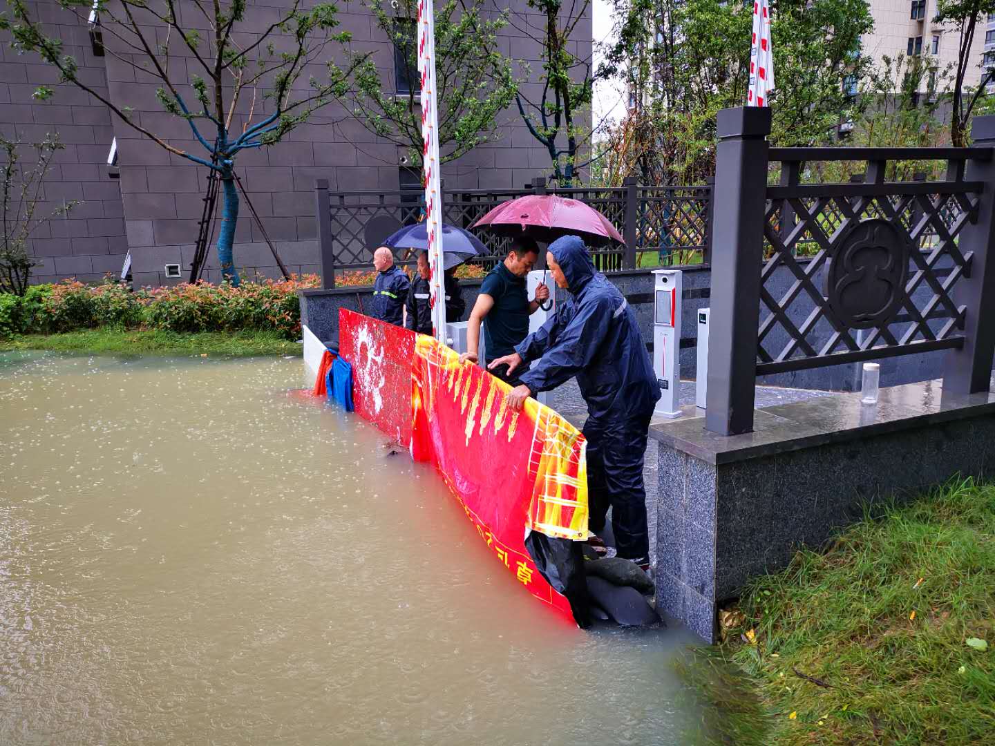 ������k8����Ӯ�ҡ�һ������