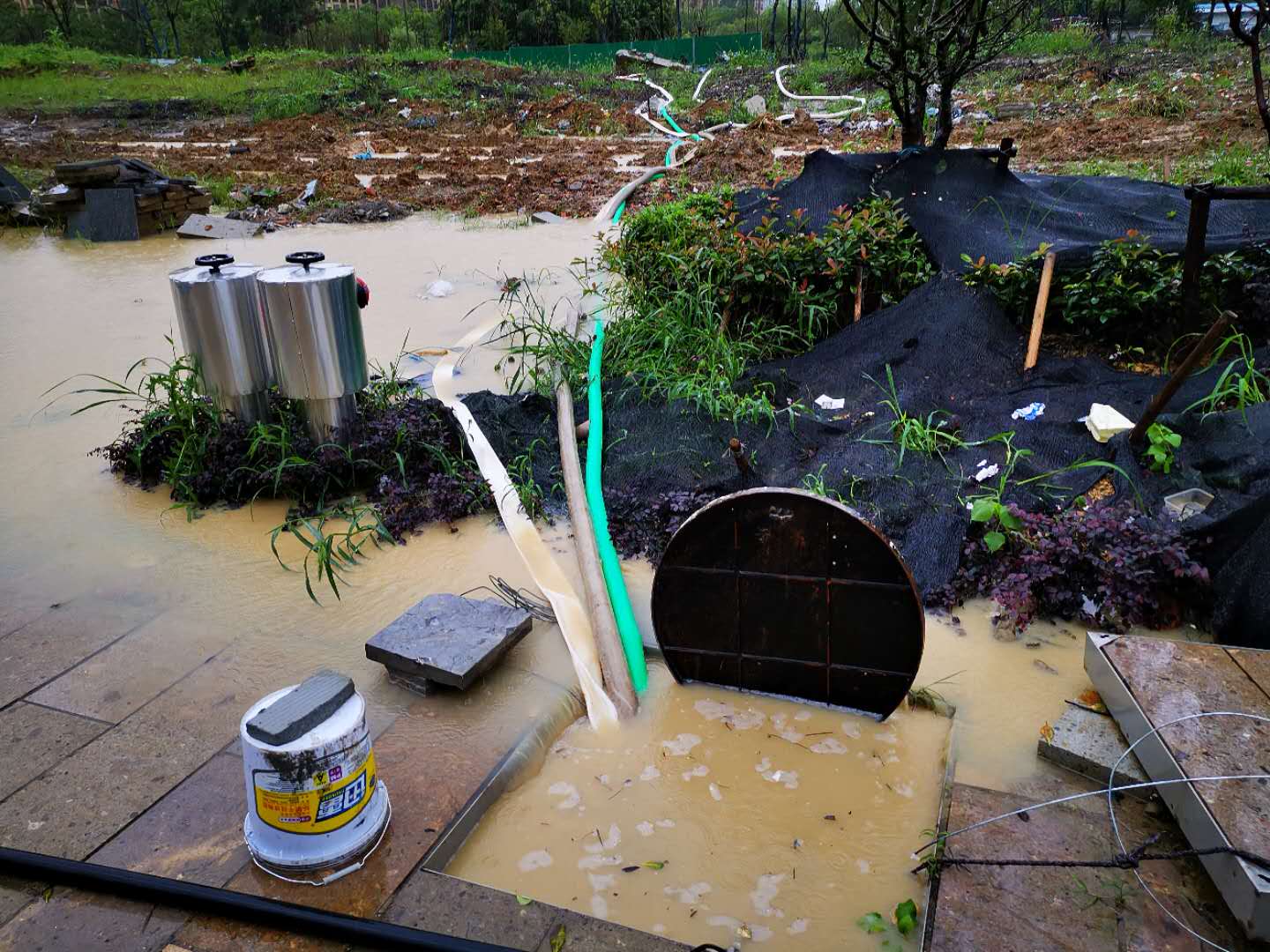 ������k8����Ӯ�ҡ�һ������