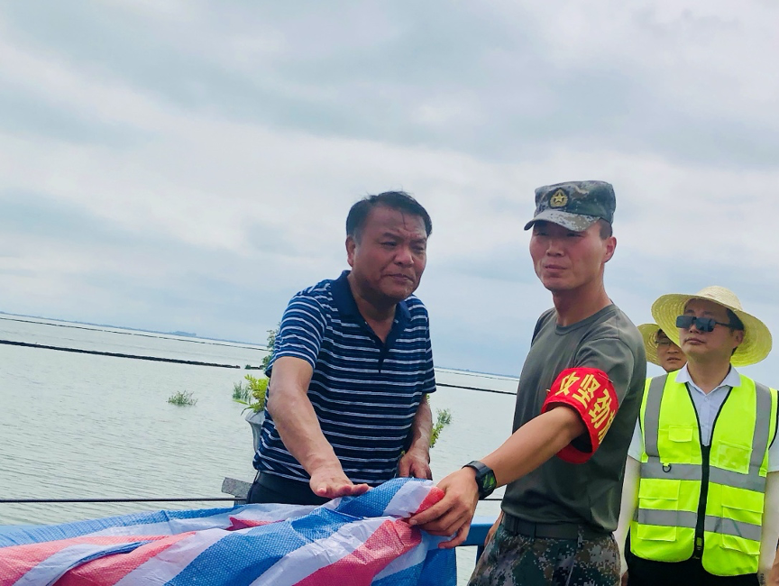 ������k8����Ӯ�ҡ�һ������