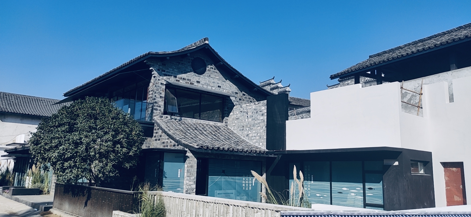 ������k8����Ӯ�ҡ�һ������