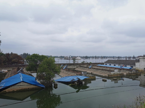 ������k8����Ӯ�ҡ�һ������