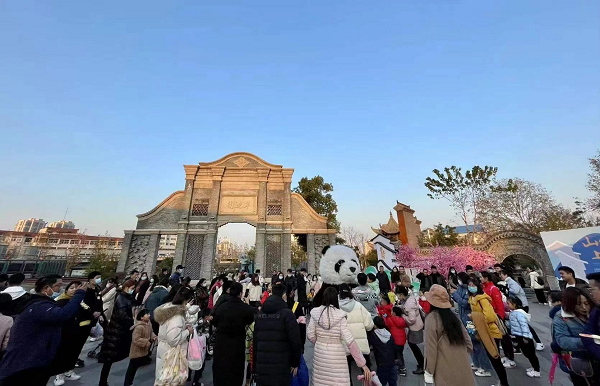 ������k8����Ӯ�ҡ�һ������