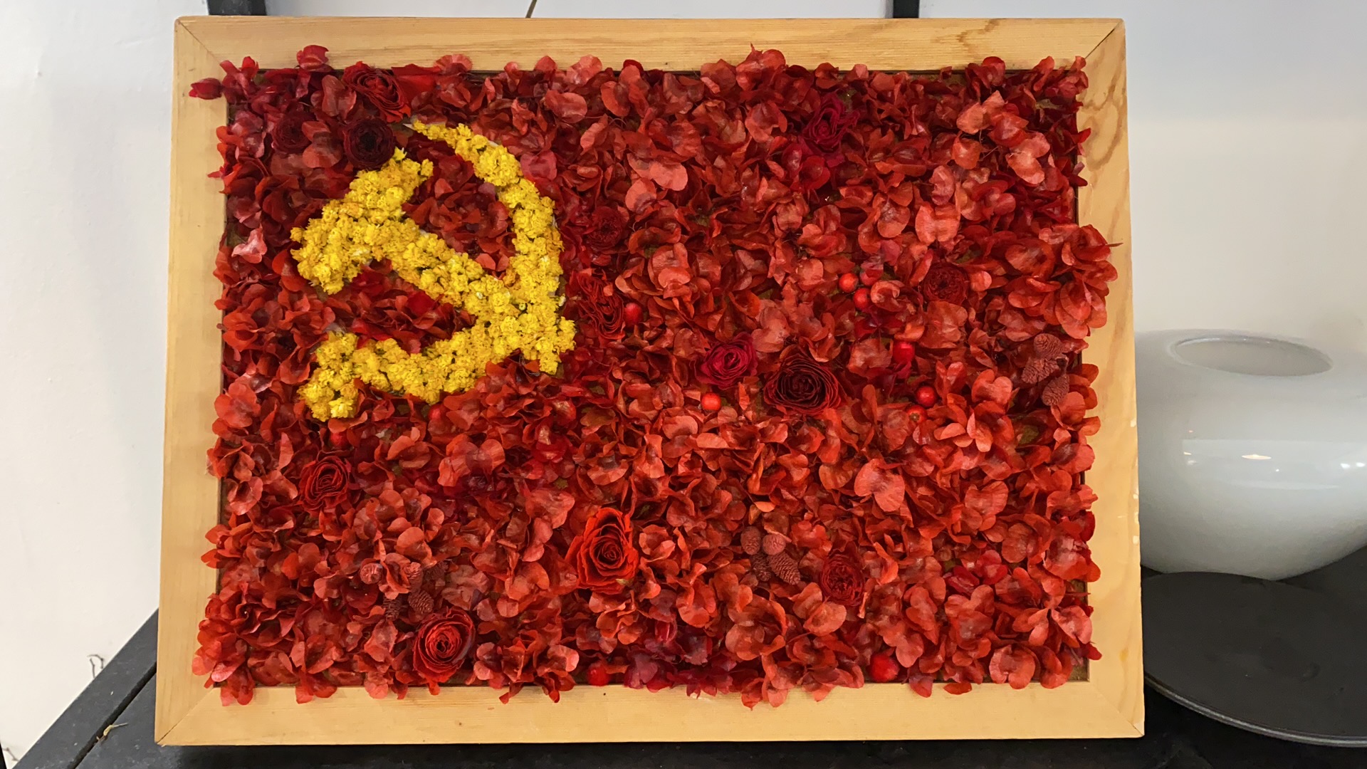 ������k8����Ӯ�ҡ�һ������